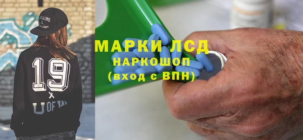 хмурый Алексин