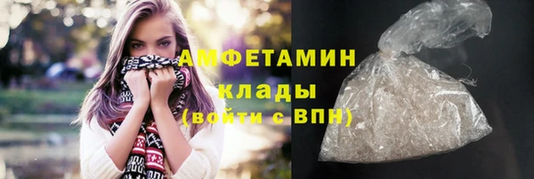 хмурый Алексин