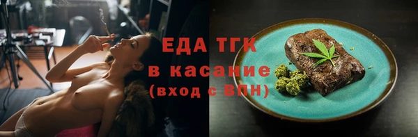 хмурый Алексин