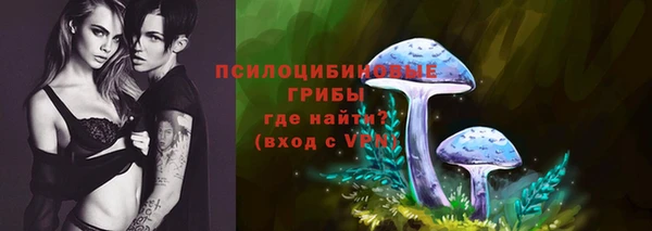 гидропоника Алзамай