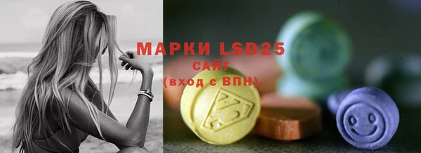 хмурый Алексин
