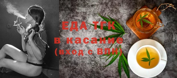 хмурый Алексин