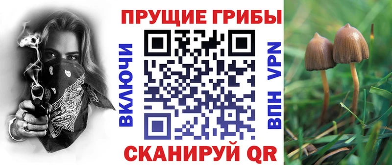 Галлюциногенные грибы ЛСД hydra вход Углич